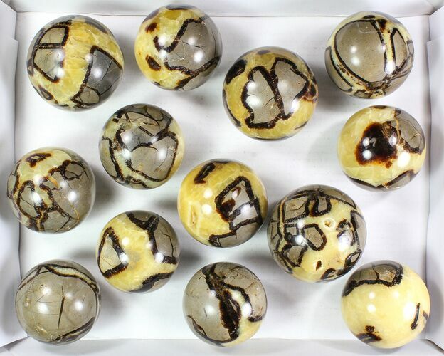 Lot: Septarian Spheres - - Pieces #78048